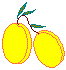apricot ©ejm