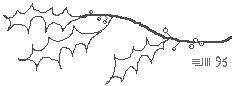 holly letterhead (gif 0.99kb)