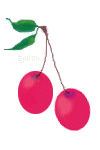 cherries ©ejm