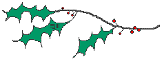 black and white holly (coloured) gif 1.14kb