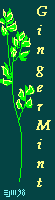 gingmint -©ejm98 (gif 979kb)