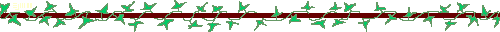 =,=`==ivy==`=,=