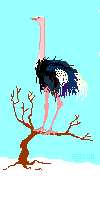 fractured partridge ©ejm2000 (animated gif 2.04kb)