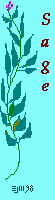 sage -©ejm98 (gif 1.09kb)