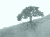 summer tree with roots ©ejm2004 (bluegrey version - gif 2.63kb)