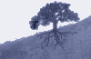 summer tree with roots ©ejm2004 (turquoise version - gif 3.04kb)